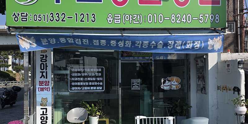 구포동물병원