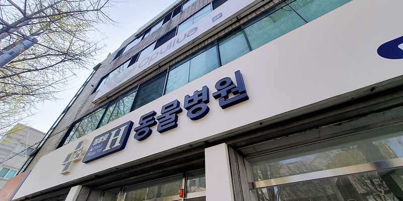 희망로H동물병원