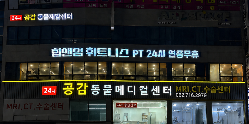 공감동물메디컬센터
