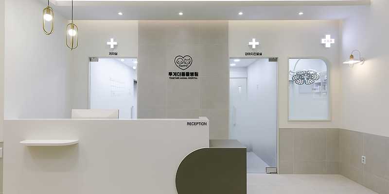 투게더 동물병원