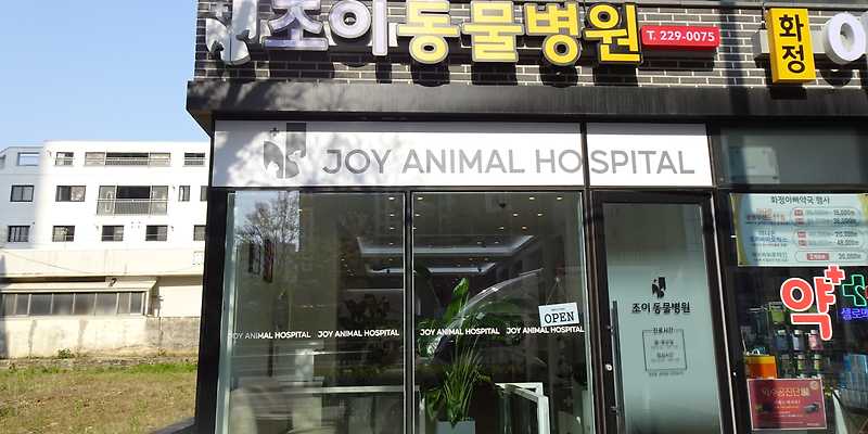 조이동물병원