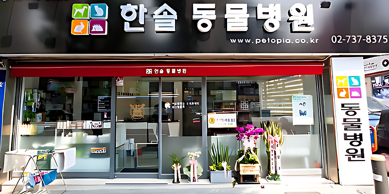 한솔동물병원
