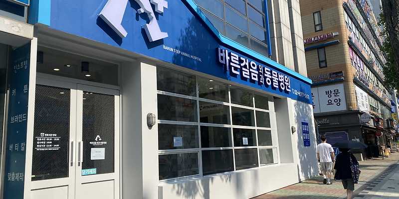 바른걸음 외과 동물병원