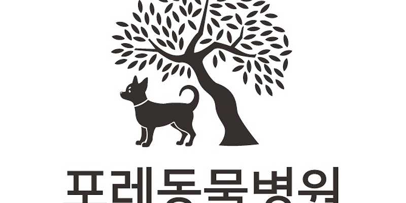 포레동물병원