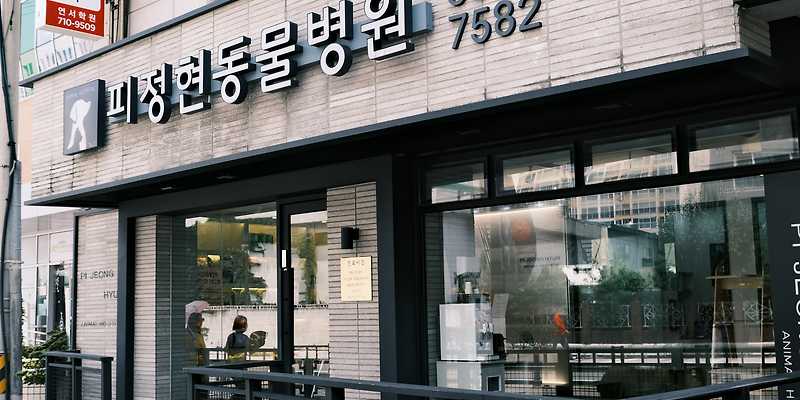 피정현 동물병원