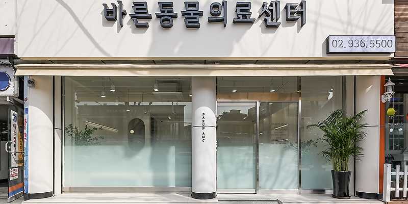 노원 바른 동물의료센터