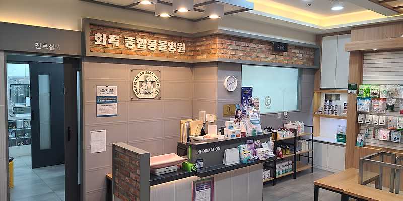 화목종합동물병원