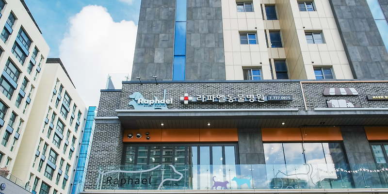 라파엘 동물병원
