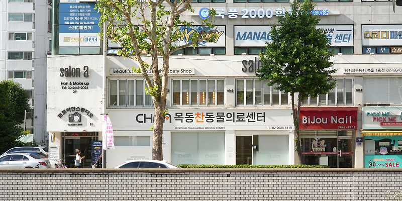 목동찬동물의료센터