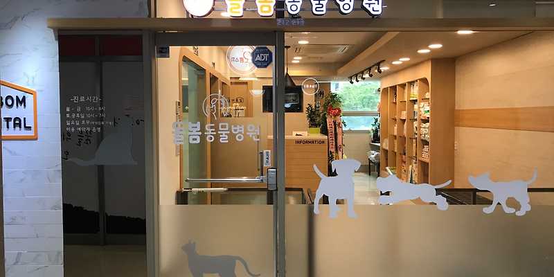 돌봄동물병원