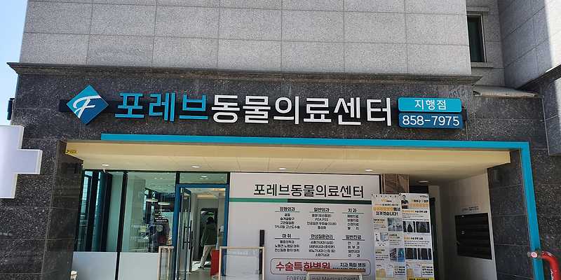 포레브동물의료센터