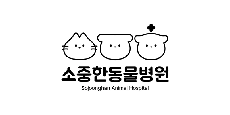 소중한 동물병원