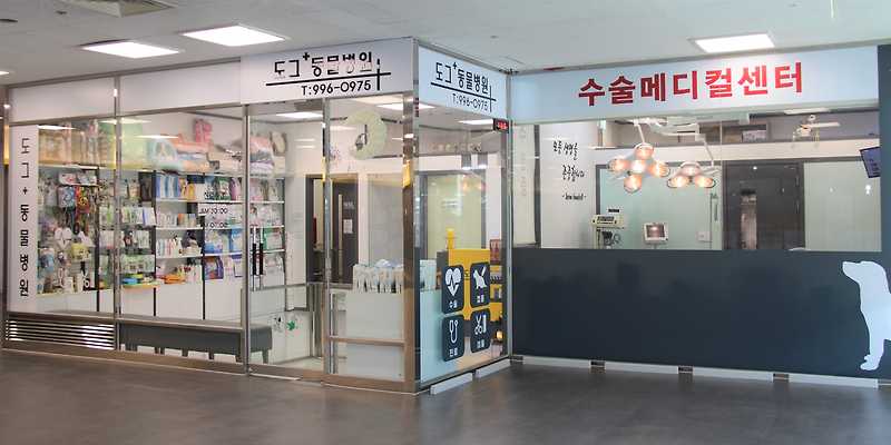 도그플러스