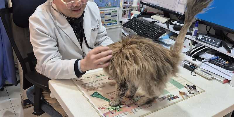 엉클장동물병원
