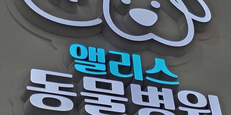 앨리스동물병원