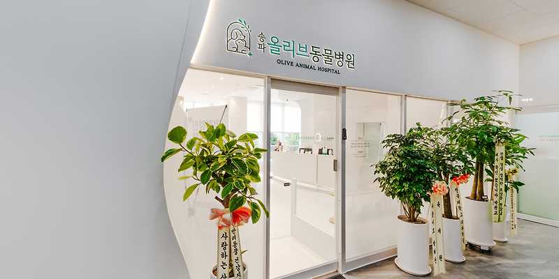 송파올리브동물병원