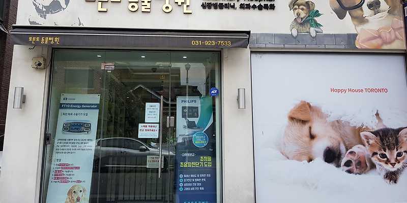 토론토 동물병원
