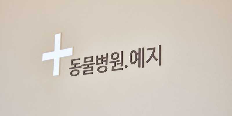 동물병원예지