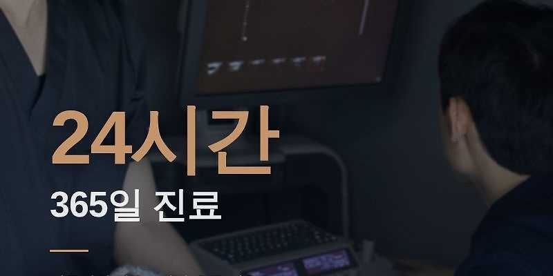 24시 폴 동물병원