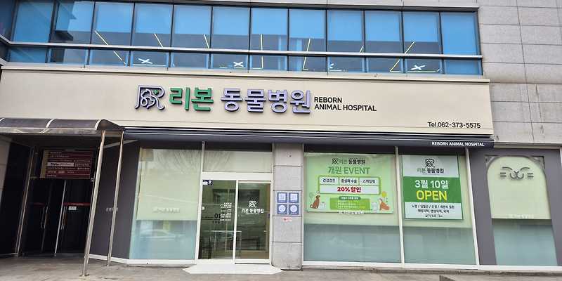 리본동물병원