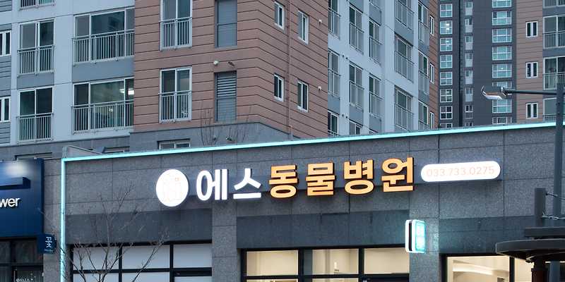에스동물병원