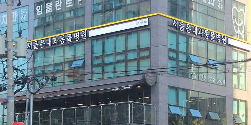 서울은내과동물병원