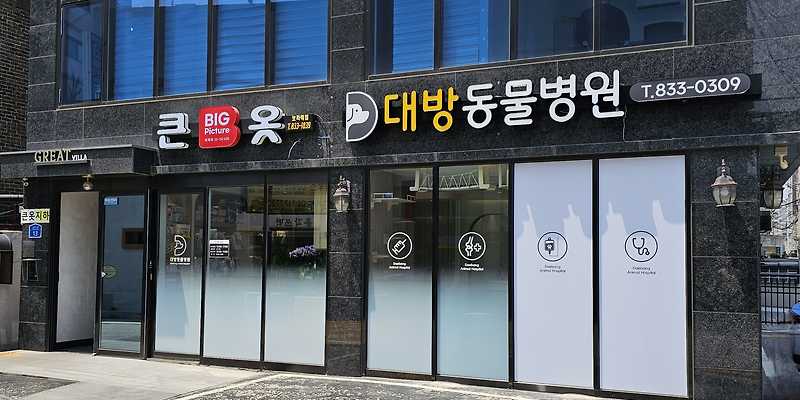 대방동물병원