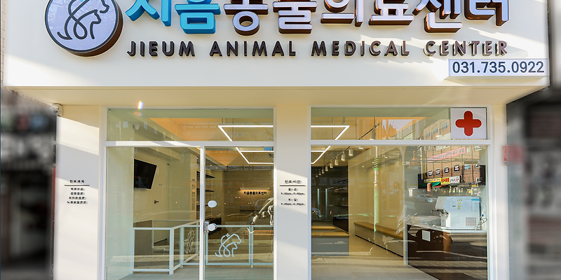 지음동물의료센터