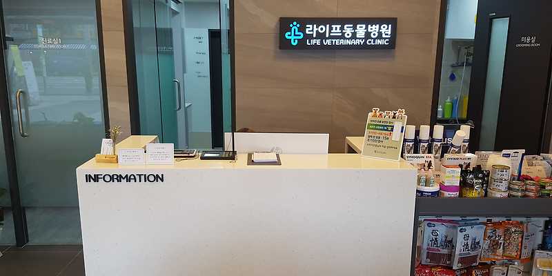 라이프 동물병원