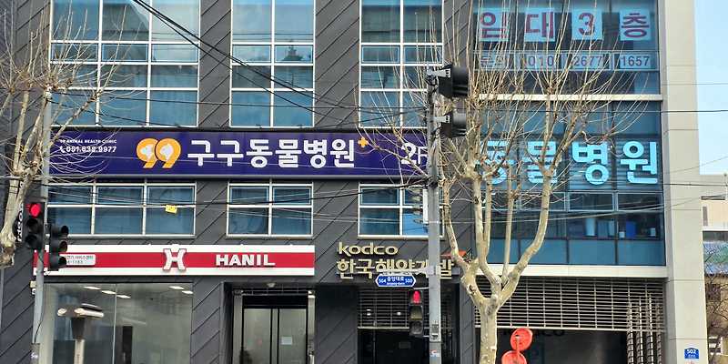 구구동물병원