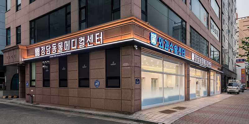 정담 동물메디컬센터