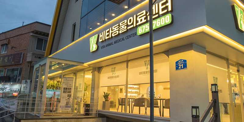비타동물의료센터