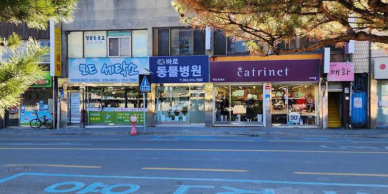바로동물병원