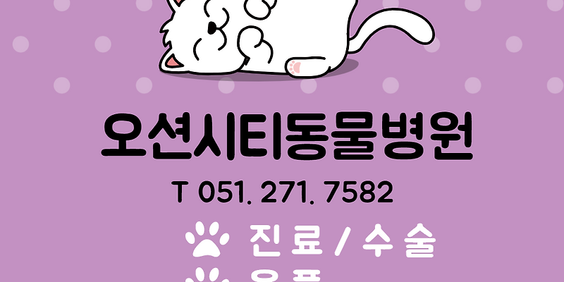 오션시티동물병원