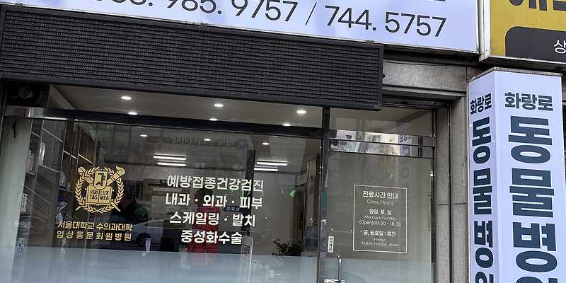 화랑로 동물병원