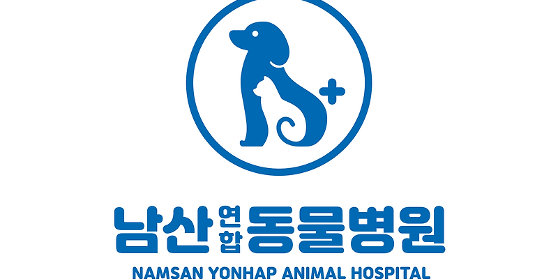 남산연합동물병원