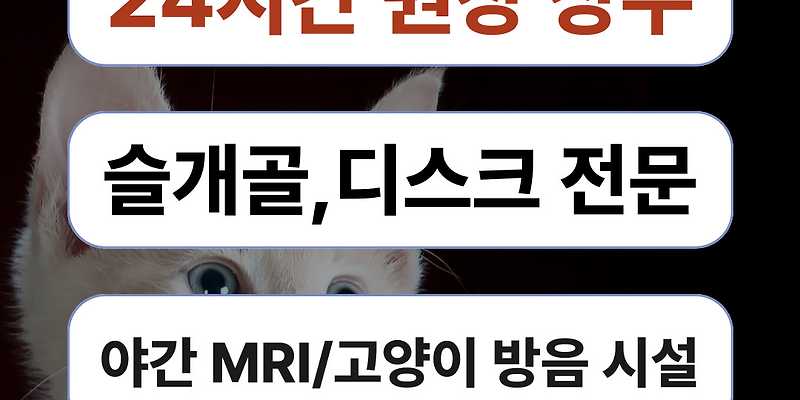 24시 황금동물의료센터