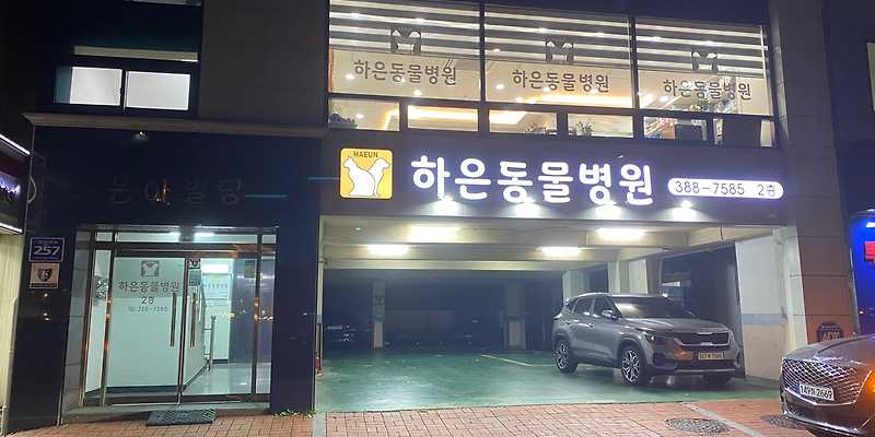 하은동물병원