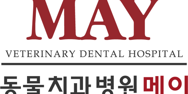 동물치과병원메이