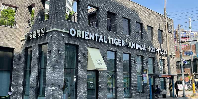 오리엔탈타이거 동물병원