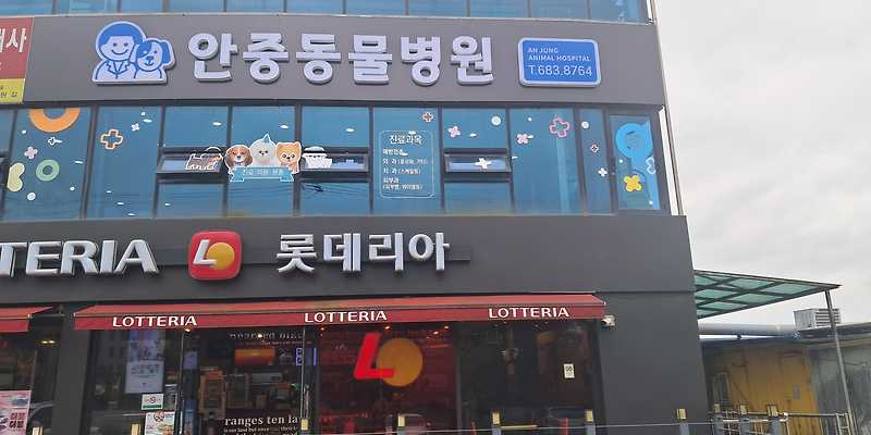 안중동물병원