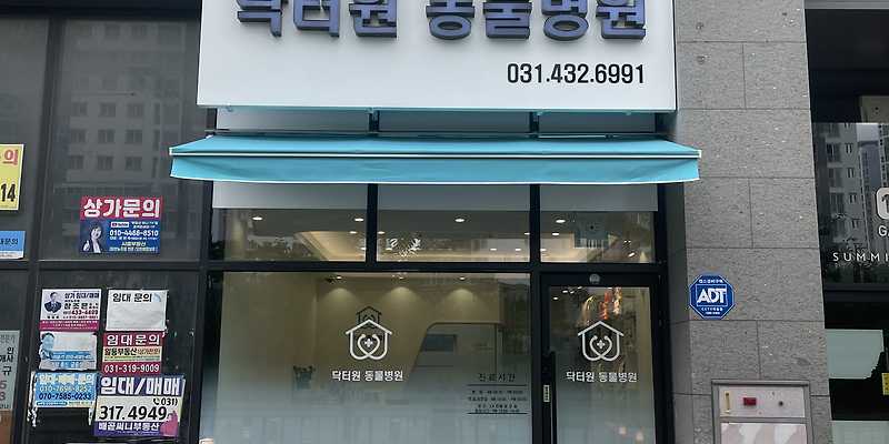 닥터원동물병원