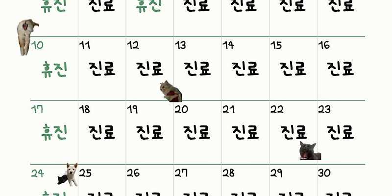 더엘동물의료센터