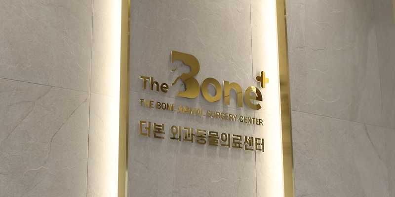 더본 외과동물의료센터