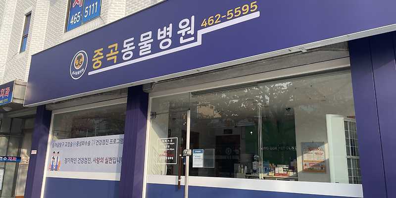 중곡동물병원