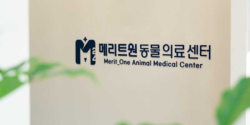 메리트원 동물의료센터