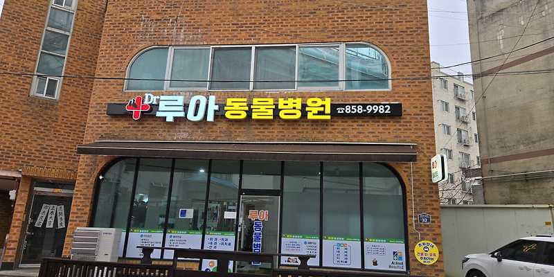 Dr루아동물병원