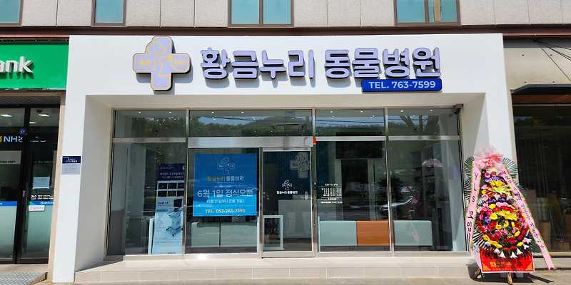 황금누리동물병원