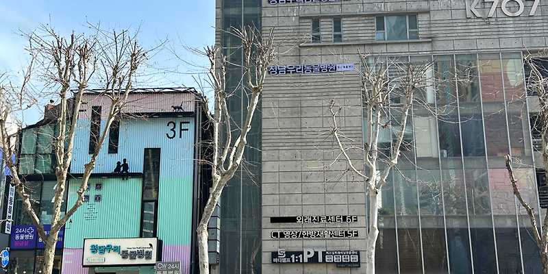 24시청담우리동물병원