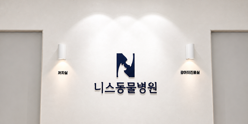 니스동물병원
